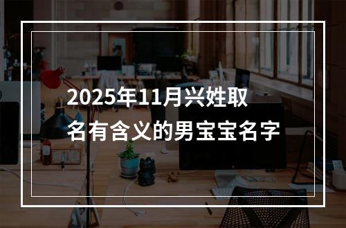 2025年11月兴姓取名有含义的男宝宝名字