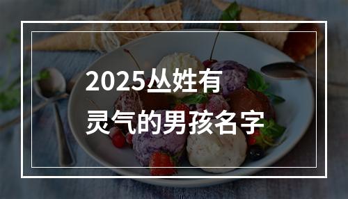 2025丛姓有灵气的男孩名字