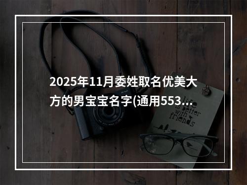 2025年11月委姓取名优美大方的男宝宝名字(通用553个)