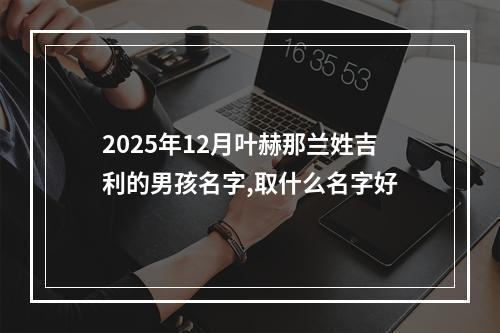 2025年12月叶赫那兰姓吉利的男孩名字,取什么名字好