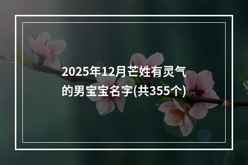 2025年12月芒姓有灵气的男宝宝名字(共355个)