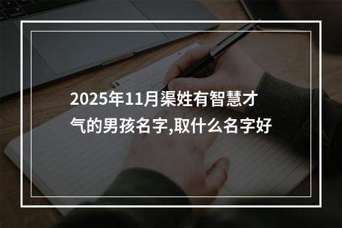 2025年11月渠姓有智慧才气的男孩名字,取什么名字好