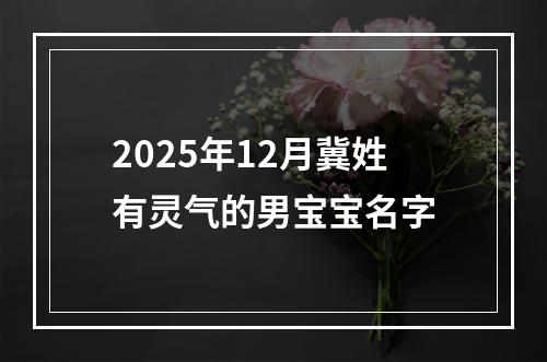 2025年12月冀姓有灵气的男宝宝名字