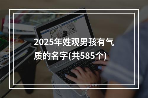 2025年姓观男孩有气质的名字(共585个)