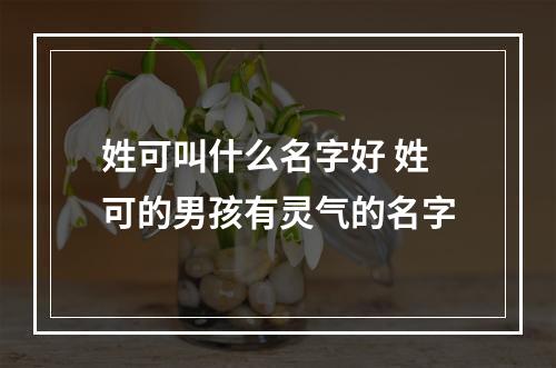 姓可叫什么名字好 姓可的男孩有灵气的名字
