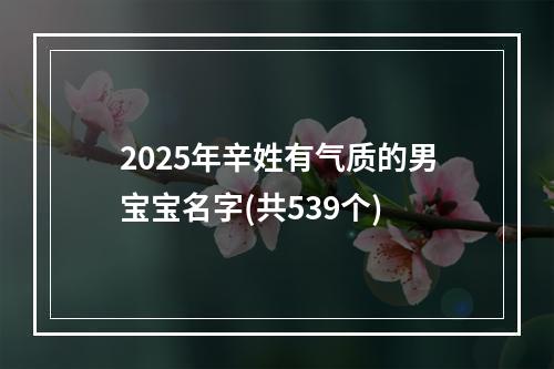 2025年辛姓有气质的男宝宝名字(共539个)