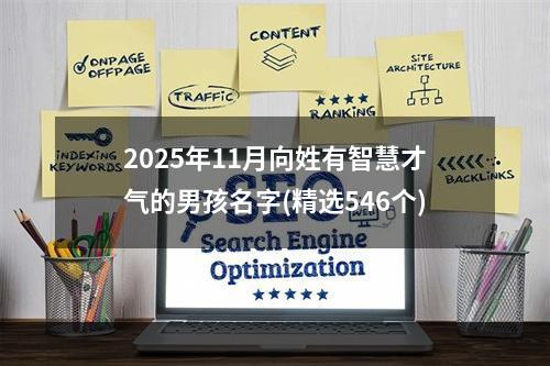 2025年11月向姓有智慧才气的男孩名字(精选546个)