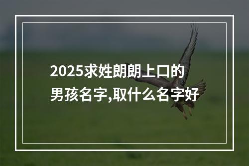 2025求姓朗朗上口的男孩名字,取什么名字好