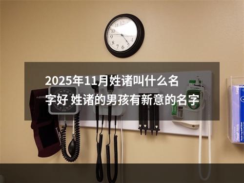 2025年11月姓诸叫什么名字好 姓诸的男孩有新意的名字