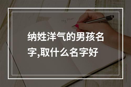 纳姓洋气的男孩名字,取什么名字好