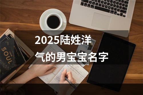 2025陆姓洋气的男宝宝名字