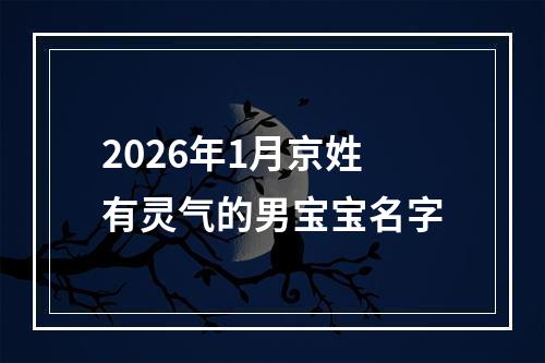 2026年1月京姓有灵气的男宝宝名字