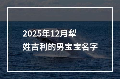 2025年12月犁姓吉利的男宝宝名字