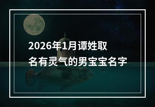 2026年1月谭姓取名有灵气的男宝宝名字