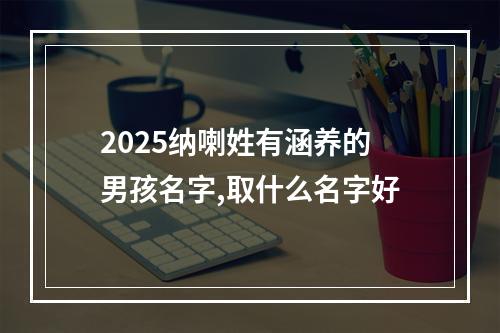 2025纳喇姓有涵养的男孩名字,取什么名字好