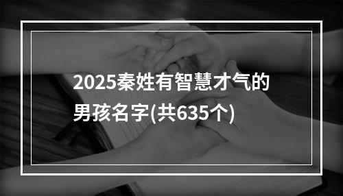 2025秦姓有智慧才气的男孩名字(共635个)