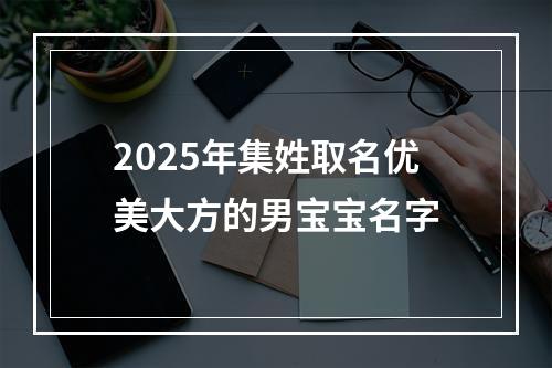2025年集姓取名优美大方的男宝宝名字