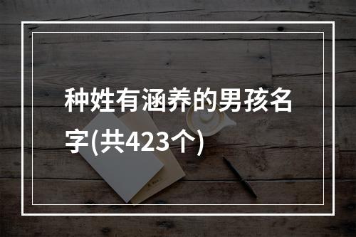 种姓有涵养的男孩名字(共423个)