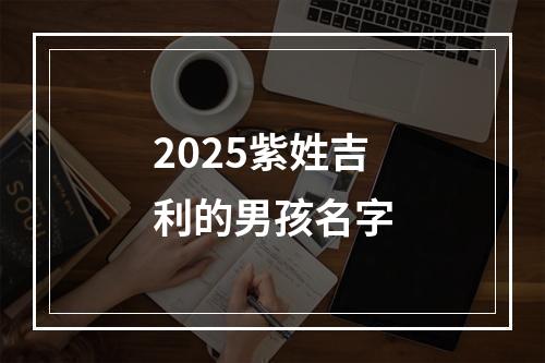 2025紫姓吉利的男孩名字