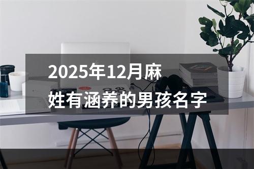 2025年12月麻姓有涵养的男孩名字