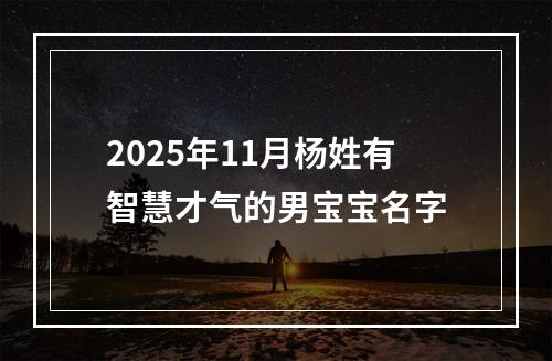 2025年11月杨姓有智慧才气的男宝宝名字