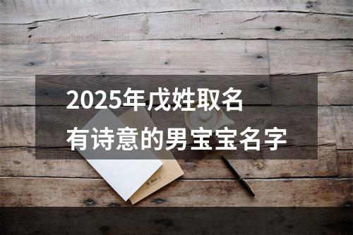 2025年戊姓取名有诗意的男宝宝名字
