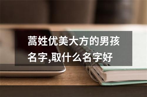 蒿姓优美大方的男孩名字,取什么名字好
