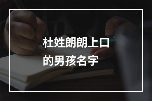 杜姓朗朗上口的男孩名字