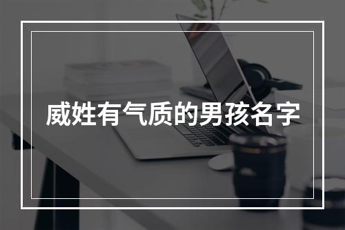 威姓有气质的男孩名字