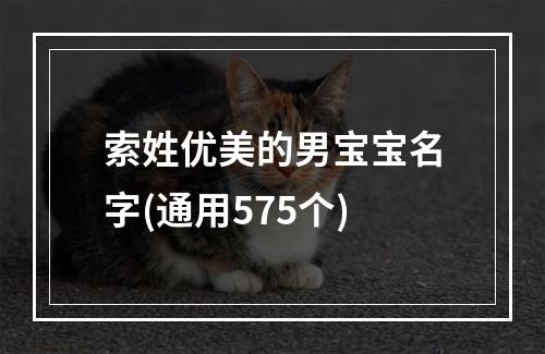 索姓优美的男宝宝名字(通用575个)