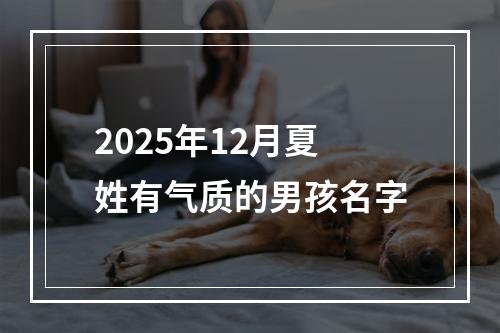 2025年12月夏姓有气质的男孩名字