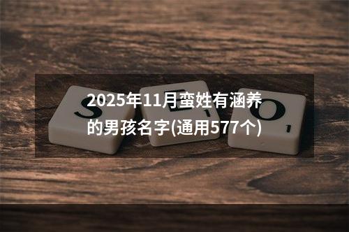 2025年11月蛮姓有涵养的男孩名字(通用577个)