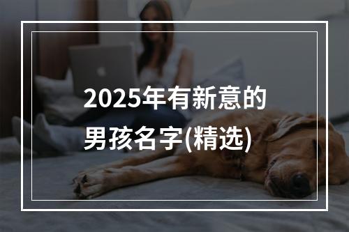 2025年有新意的男孩名字(精选)