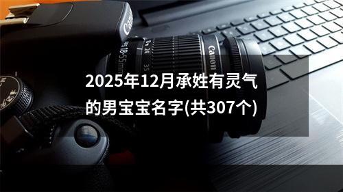 2025年12月承姓有灵气的男宝宝名字(共307个)