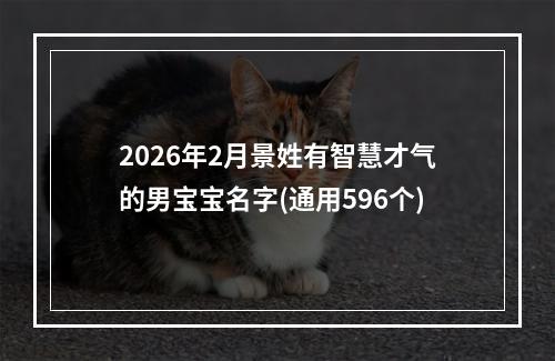 2026年2月景姓有智慧才气的男宝宝名字(通用596个)