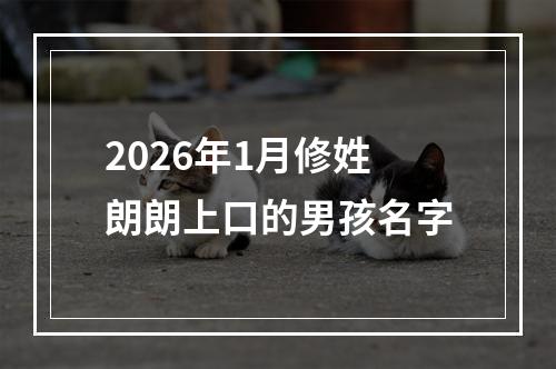 2026年1月修姓朗朗上口的男孩名字