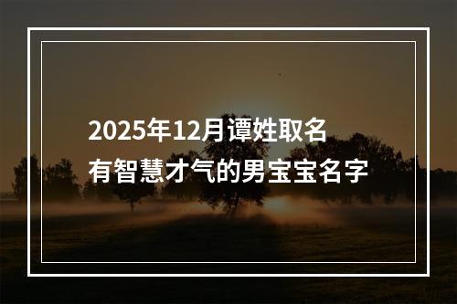2025年12月谭姓取名有智慧才气的男宝宝名字