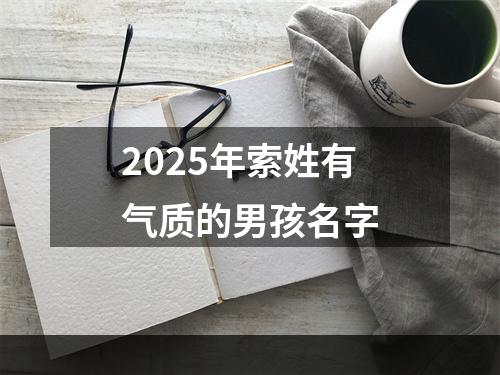 2025年索姓有气质的男孩名字