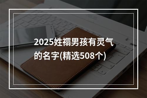 2025姓禤男孩有灵气的名字(精选508个)