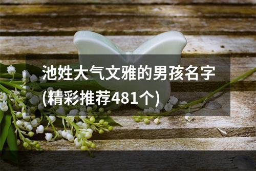 池姓大气文雅的男孩名字(精彩推荐481个)