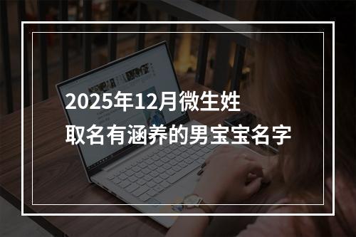2025年12月微生姓取名有涵养的男宝宝名字