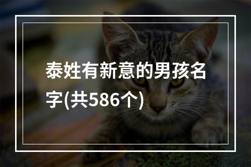 泰姓有新意的男孩名字(共586个)