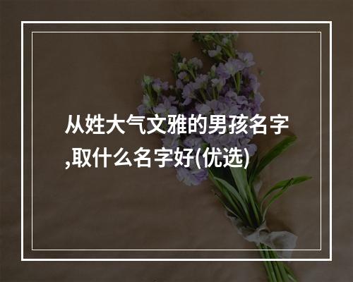从姓大气文雅的男孩名字,取什么名字好(优选)
