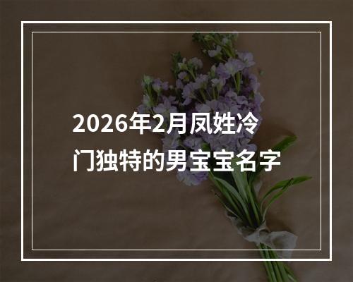 2026年2月凤姓冷门独特的男宝宝名字
