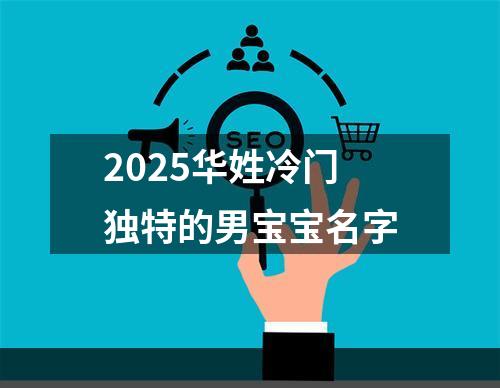 2025华姓冷门独特的男宝宝名字