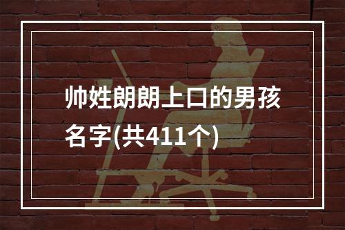 帅姓朗朗上口的男孩名字(共411个)