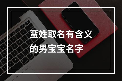 蛮姓取名有含义的男宝宝名字