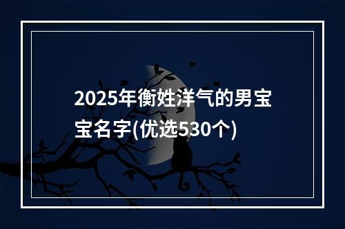2025年衡姓洋气的男宝宝名字(优选530个)