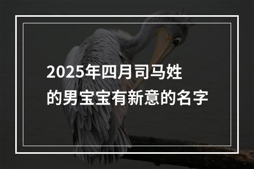 2025年四月司马姓的男宝宝有新意的名字