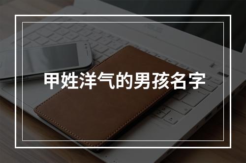 甲姓洋气的男孩名字